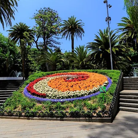 Center * Santa Cruz de Tenerife